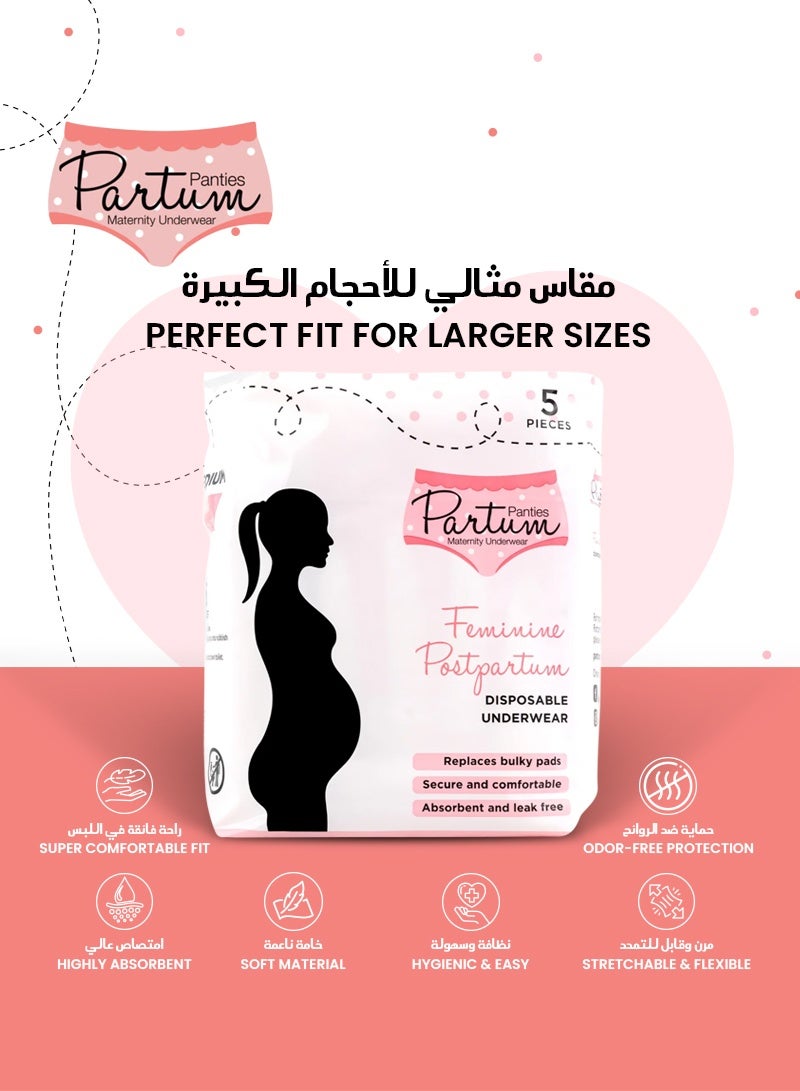 Partum Panties High-Waisted 5-Pack Bundle Disposable Postpartum Underwear | Medium Size 75-110CM Hips | Soft & Absorbent | Ideal for Postpartum Recovery | Comfortable & Leak-Free - Image 2