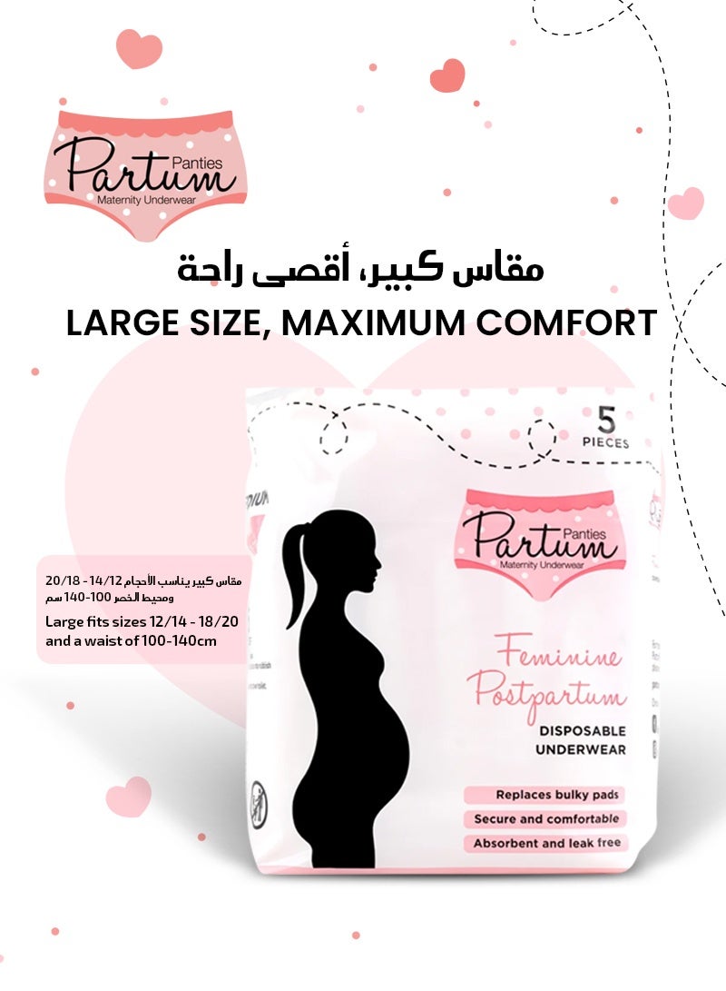 Partum Panties High-Waisted 5-Pack Bundle Disposable Postpartum Underwear | Medium Size 75-110CM Hips | Soft & Absorbent | Ideal for Postpartum Recovery | Comfortable & Leak-Free - Image 5