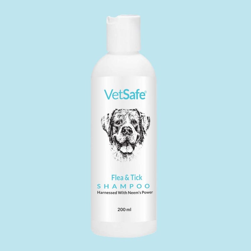 VetSafe Tick and Flea Control Shampoo 200 ml for Dog, Cat & Horse Shampoo for All Breeds | Bling On The Shine Nourishing Dry Waterless | Removes Dirt, Grime & Oil - Image 1