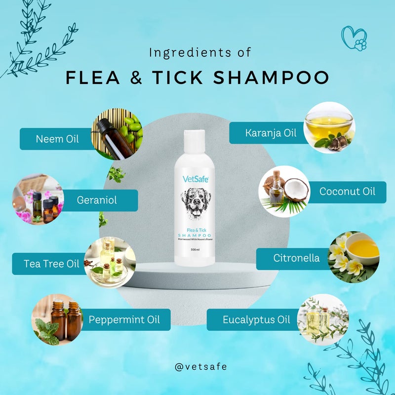 VetSafe Tick and Flea Control Shampoo 200 ml for Dog, Cat & Horse Shampoo for All Breeds | Bling On The Shine Nourishing Dry Waterless | Removes Dirt, Grime & Oil - Image 4