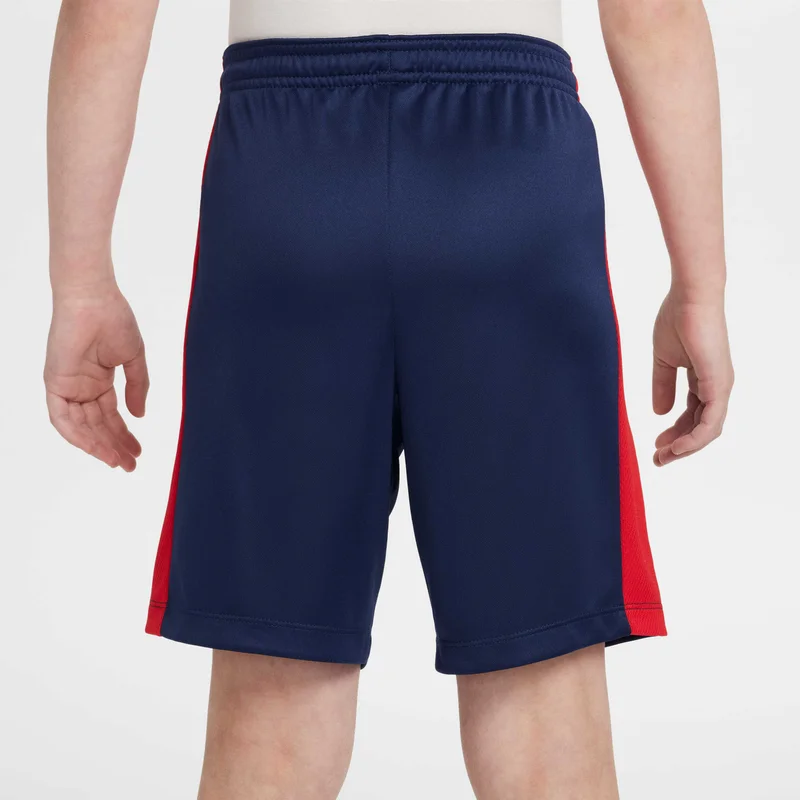 Nike Kids' Trophy23 Dri-FIT Shorts