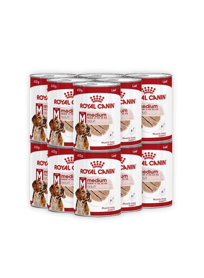 رويال كانين طعام رطب للكلاب البالغة متوسطة الحجم - 410 جرام (عبوة من 12 قطعة) - Image 1