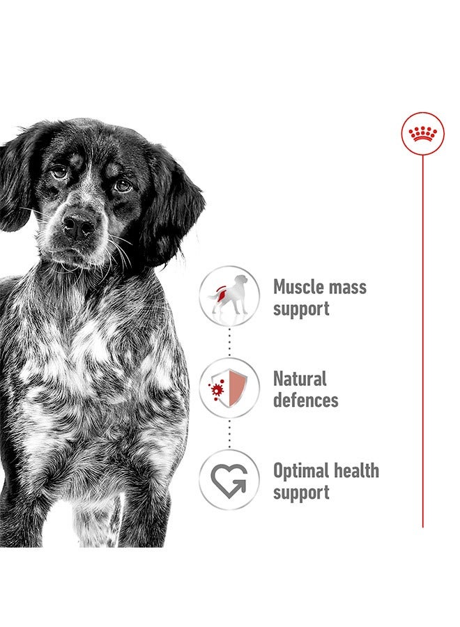 رويال كانين طعام رطب للكلاب البالغة متوسطة الحجم - 410 جرام (عبوة من 12 قطعة) - Image 3