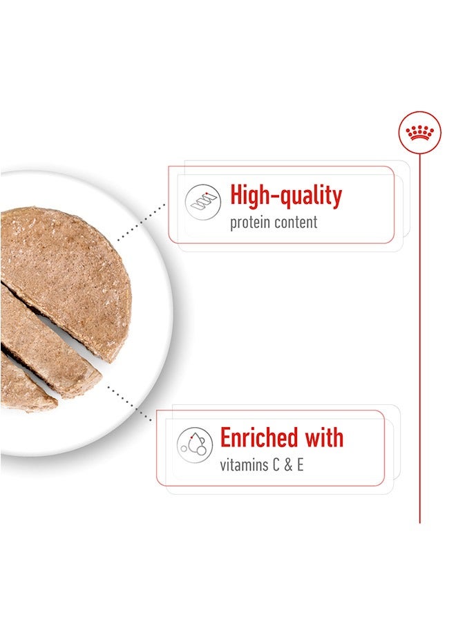 رويال كانين طعام رطب للكلاب البالغة متوسطة الحجم - 410 جرام (عبوة من 12 قطعة) - Image 4
