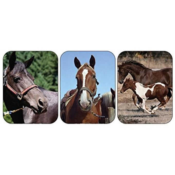 EUREKA Horses Real Photos Stickers - Image 1
