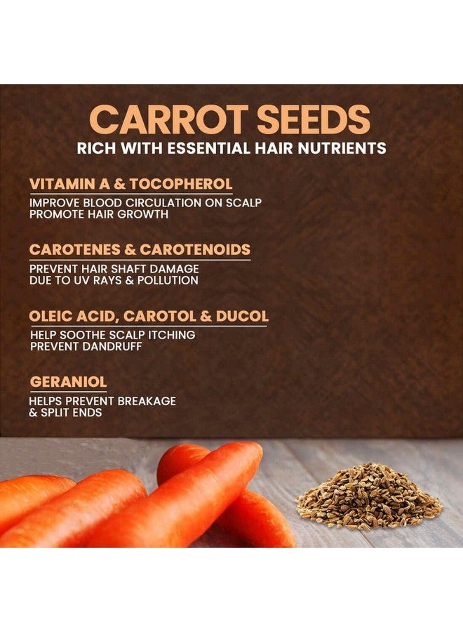 NEUD Carrot Seed Premium Hair Oil for Men & Women - 300 ml, Natural Carrot, Pack of 1 - Image 3