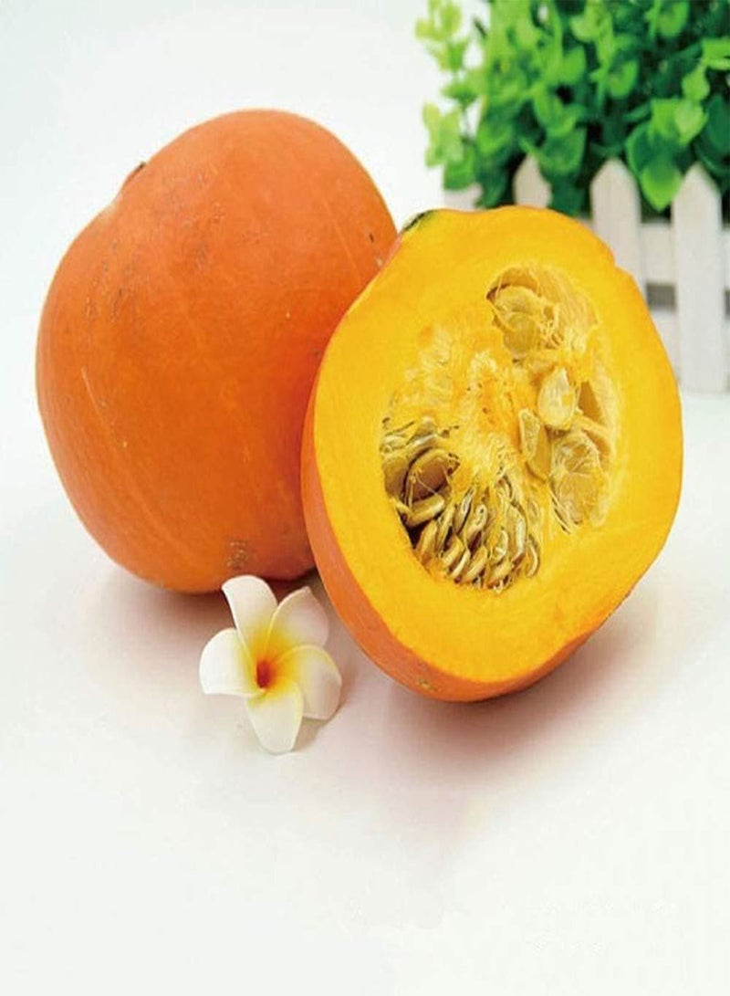 GGOOT 30Pcs Orange Pumpkin Seeds Non-GMO Squash Seed Vine Vegetable for Home Garden Balcony Planting - Image 1