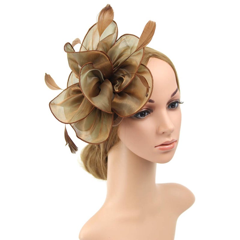 DRESHOW Fascinators Hat Tea Party Headwear Ribbons Feathers on a Headband and a Clip for Women - Image 2