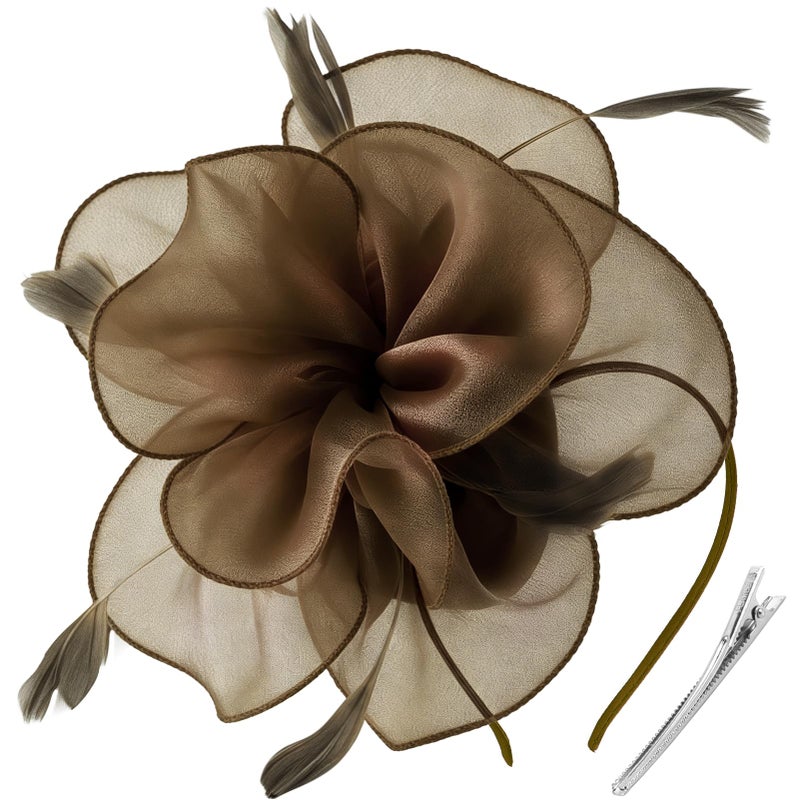 DRESHOW Fascinators Hat Tea Party Headwear Ribbons Feathers on a Headband and a Clip for Women - Image 1
