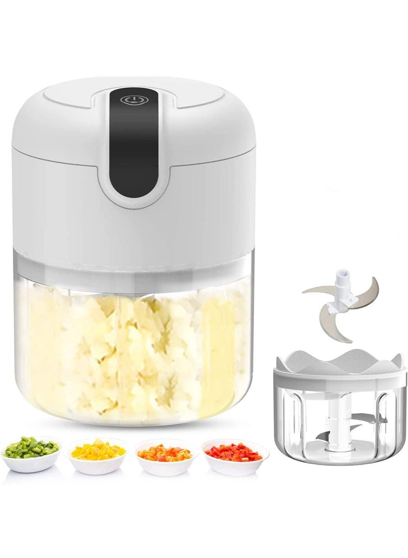 عربست مفرمة ثوم كهربائية، مفرمة ثوم 250 مل مع مضرب بيض، مفرمة خضراوات صغيرة محمولة، مطحنة ثوم، مفرمة بصل، معالج طعام صغير USB للخضراوات والثوم والزنجبيل والفلفل الحار - Image 1