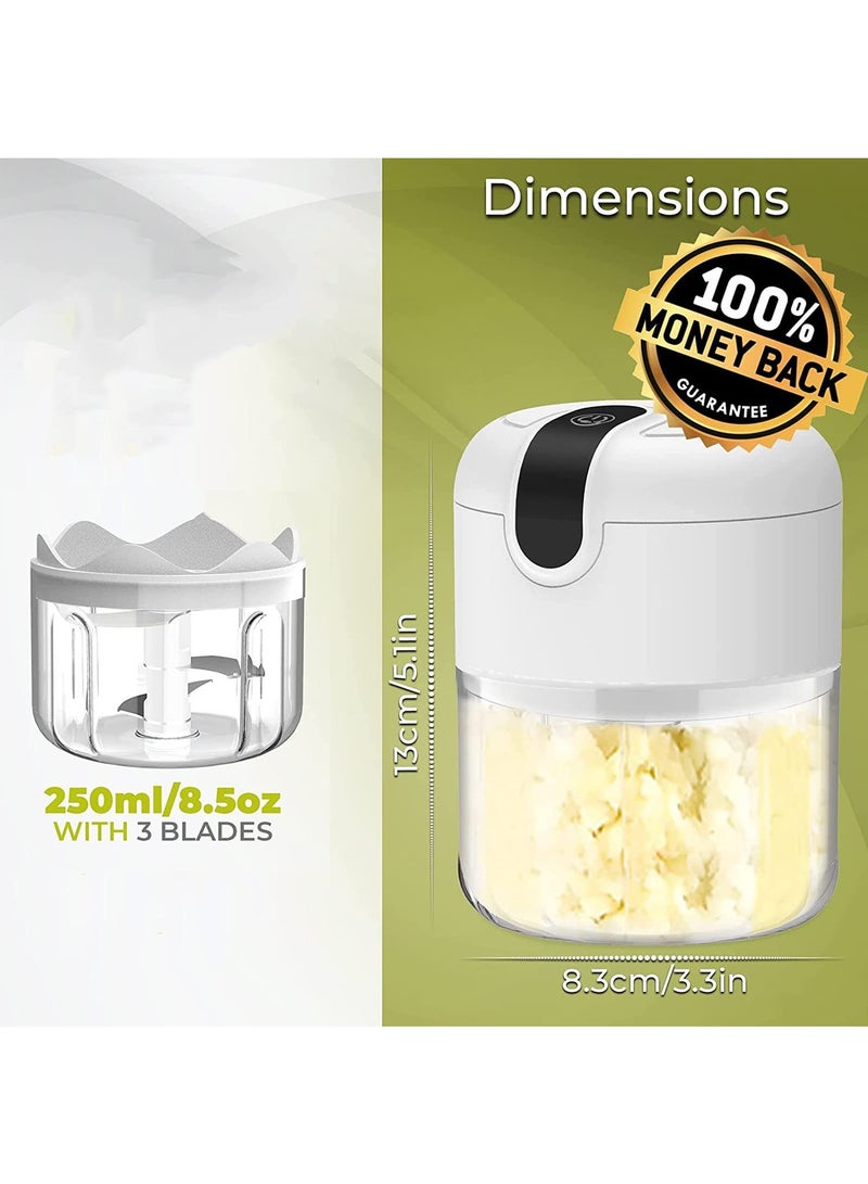 عربست مفرمة ثوم كهربائية، مفرمة ثوم 250 مل مع مضرب بيض، مفرمة خضراوات صغيرة محمولة، مطحنة ثوم، مفرمة بصل، معالج طعام صغير USB للخضراوات والثوم والزنجبيل والفلفل الحار - Image 4