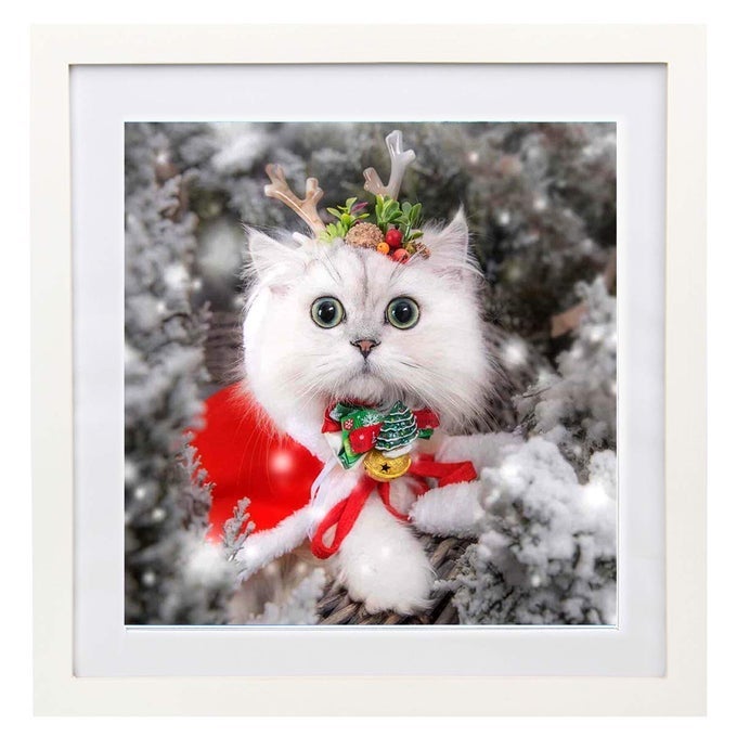 12X12 DIAMOND PAINTING FRAME PICTURE DISPLAY PICTURES 10 X 10 INCH25X25 CM OR 12 X 12 INCH30X30 CMDIAMOND ART FRAME SOLID WOOD WHITE YNCK0012