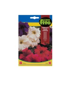 Fito Seeds Petunia Dwarf Compact Mix Ref no. 671 Fito  - Image 3