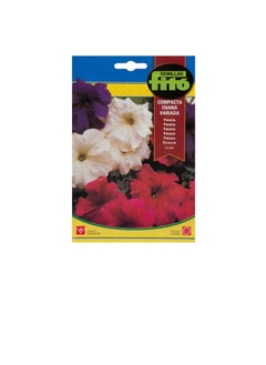 Fito Seeds Petunia Dwarf Compact Mix Ref no. 671 Fito  - Image 1