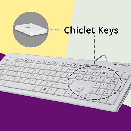 ZEBRONICS Zeb-DLK01 Wired USB Multimedia Keyboard with 104 UV Coated Keys, Rupee Key, 12 Hot Keys(White) - Image 5