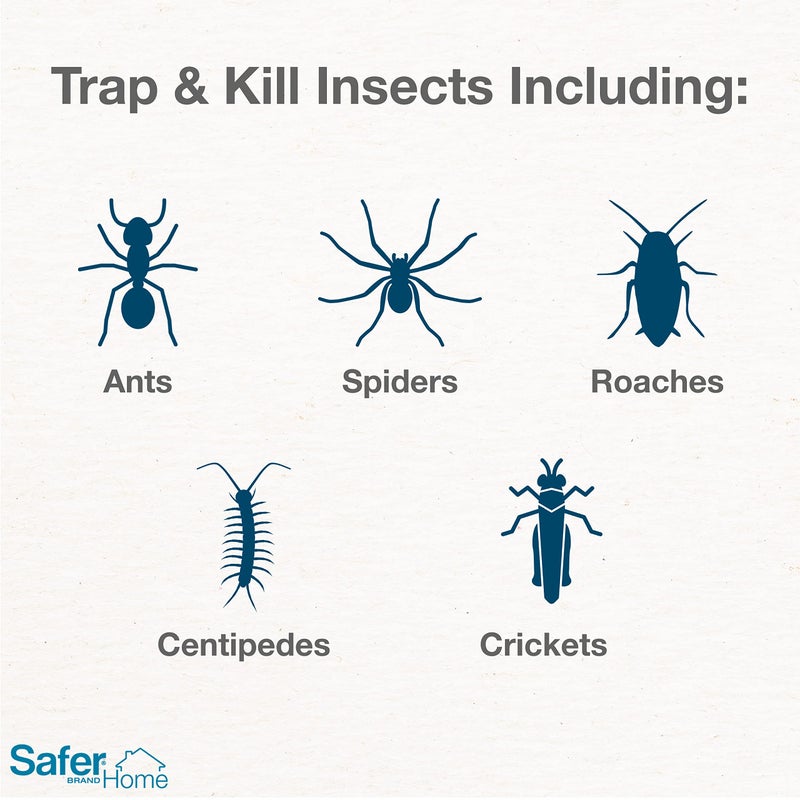 Safer Brand Safer Home SH400SR Indoor Spider, Ant, Cockroach, Centipede, and Crawling Insect 12 Traps, Blue - Image 2