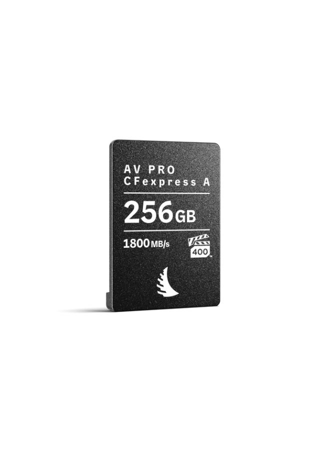 AV PRO CFexpress A 256 GB - Image 3