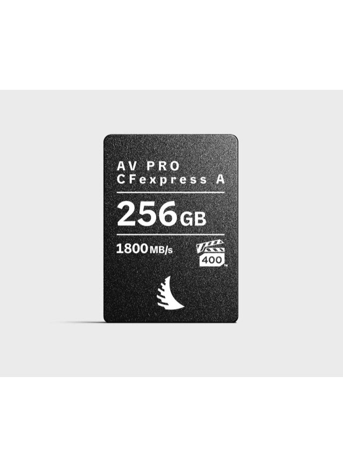AV PRO CFexpress A 256 GB - Image 1