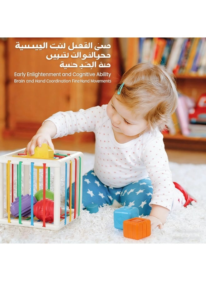 Kueh Montessori Shape Sorting Cubes – 6 Pc Multi-Sensory Baby Toy for 1 Year Old, Toddlers 12+ Months - Image 3