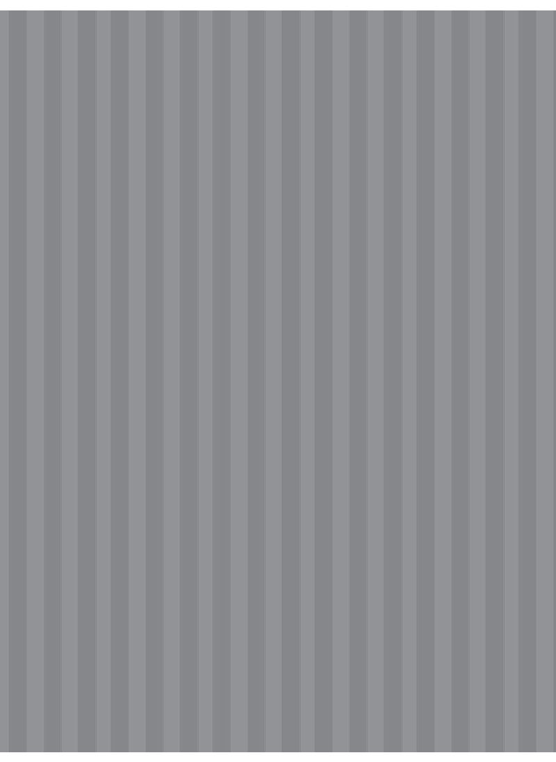 Bianca BIANCA Super Soft 100% Egyptian Cotton Satin Stripe XL King Double Bedsheet with 2 Pillow Covers -3pc Set (Hilton) | 100% Super Soft Egyptian Cotton Satin Stripe | Stripe-Silver Grey  - Image 5