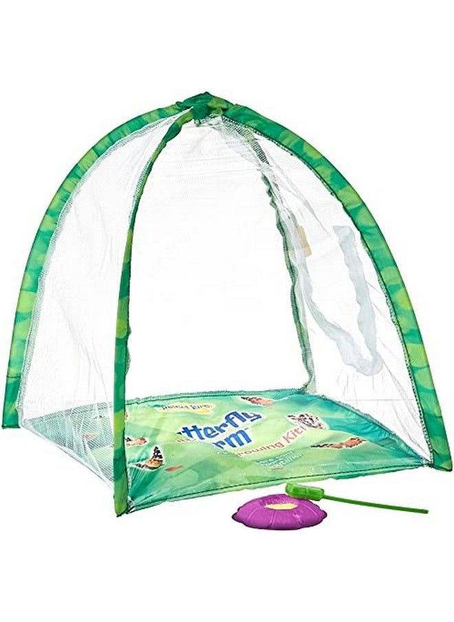 Insect Lore - Butterfly Farm Green - Image 1