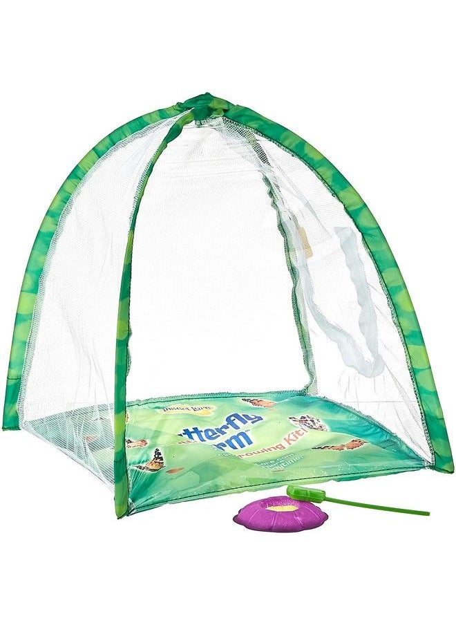 Insect Lore - Butterfly Farm Green - Image 1