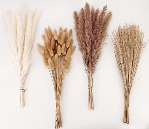 ANPROOR Dried Pampas Grass Decor 100 Stems Pampas Grass Contains Bunny Tails Dried Flowers Reed Grass Bouquet for Wedding Boho Flowers Home Table Decor Rustic Farmhouse Party 17 White and Brown 