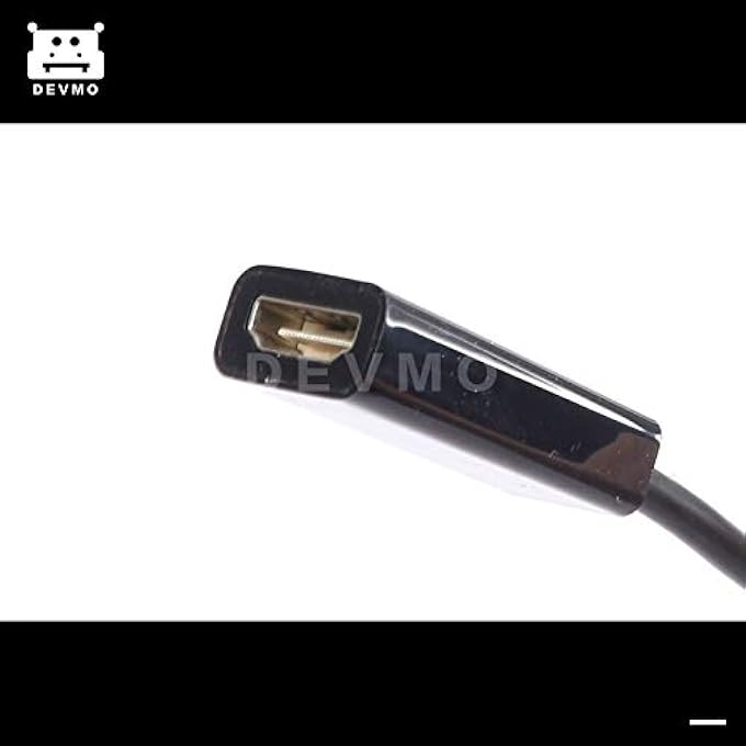 rayihni DP DISPLAYPORT MALE TO HDMI FEMALE CABLE CONVERTER ADAPTER FOR PC HP/DELL A144 - Image 2