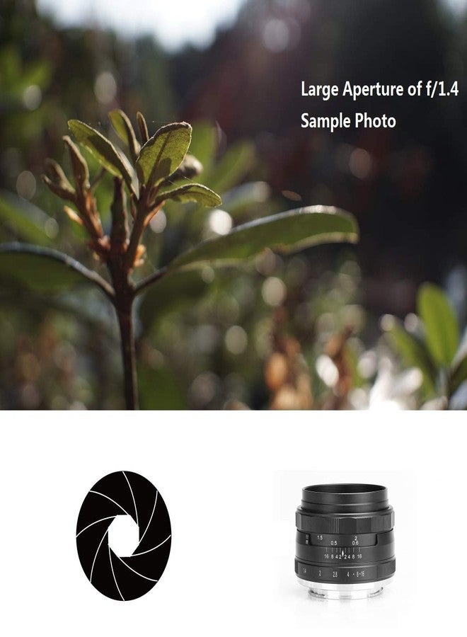 مايكي عدسة MEIKE 35mm F/1.4 ذات فتحة عدسة كبيرة وتركيز يدوي، متوافقة مع كاميرات سوني APS-C بدون مرآة مثل A6000 وA6300 وA6500 - Image 4