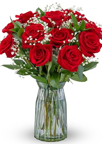 Benchmark Bouquets  Red Roses Bouquet  Fresh Flowers for Delivery  Mothers Day Flowers  One Dozen Long Stem Roses  Real Roses  Mothers Day Gifts for Mom Glass Vase Included - Image 1
