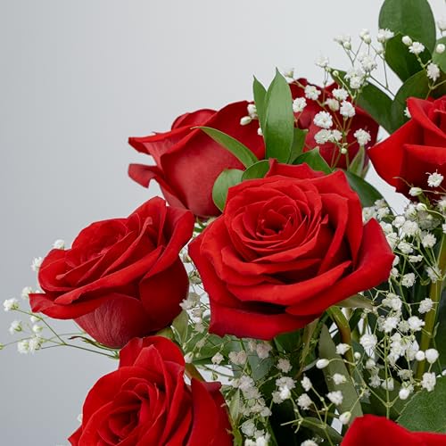 Benchmark Bouquets  Red Roses Bouquet  Fresh Flowers for Delivery  Mothers Day Flowers  One Dozen Long Stem Roses  Real Roses  Mothers Day Gifts for Mom Glass Vase Included - Image 5