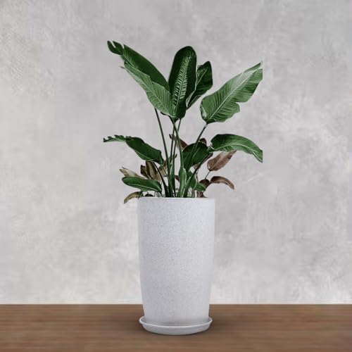 BonKaso 14 inch White Flower Pot – Tall, Durable & Lightweight Polymer Tower Planter for Indoor & Outdoor Use: Home, Office, Garden & Balcony (Gamla/Gamale) - Image 1