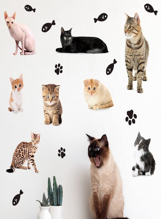 WOYINIS 3D Lovely Kitty Wall Decals Kitten Stickers DIY Removable Fish Cat Paws Wall Stickers Peel and Stick Kitten Wall Decals for Girls Bedroom Playroom Nursery Wall Decor - Image 5