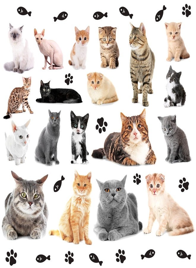 WOYINIS 3D Lovely Kitty Wall Decals Kitten Stickers DIY Removable Fish Cat Paws Wall Stickers Peel and Stick Kitten Wall Decals for Girls Bedroom Playroom Nursery Wall Decor - Image 1
