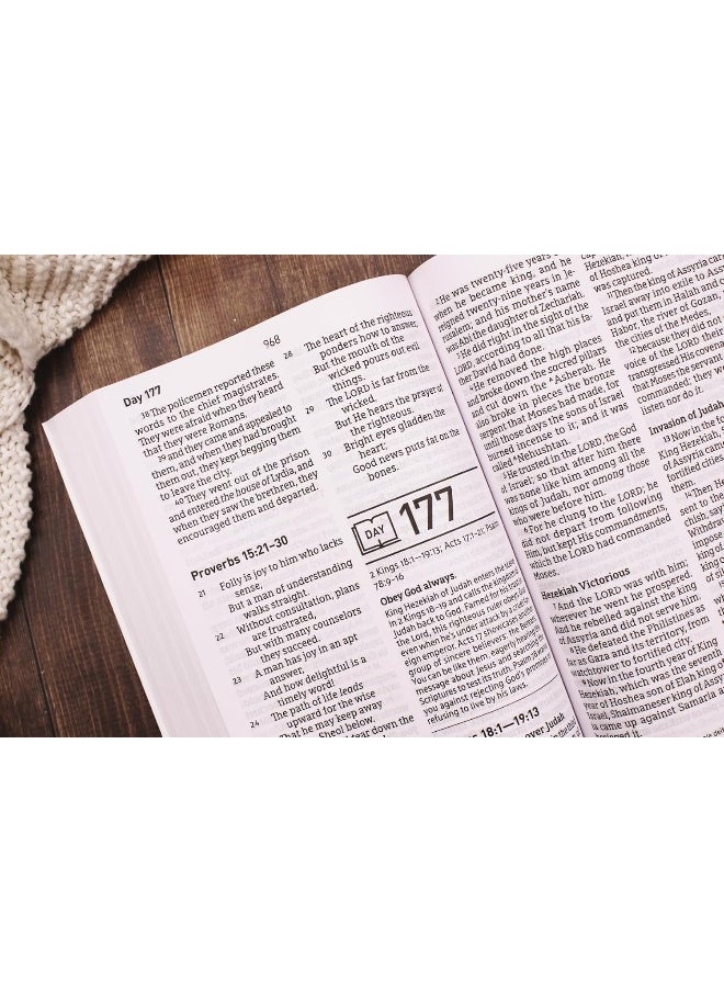 null - NASB, Daily Scripture, Super Giant Print, Paperback, White/Gold, 1995 Text, Comfort Print: 365 Days to Read Through the Whole Bible in a Year - Image 1