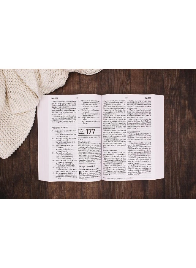 null - NASB, Daily Scripture, Super Giant Print, Paperback, White/Gold, 1995 Text, Comfort Print: 365 Days to Read Through the Whole Bible in a Year - Image 1