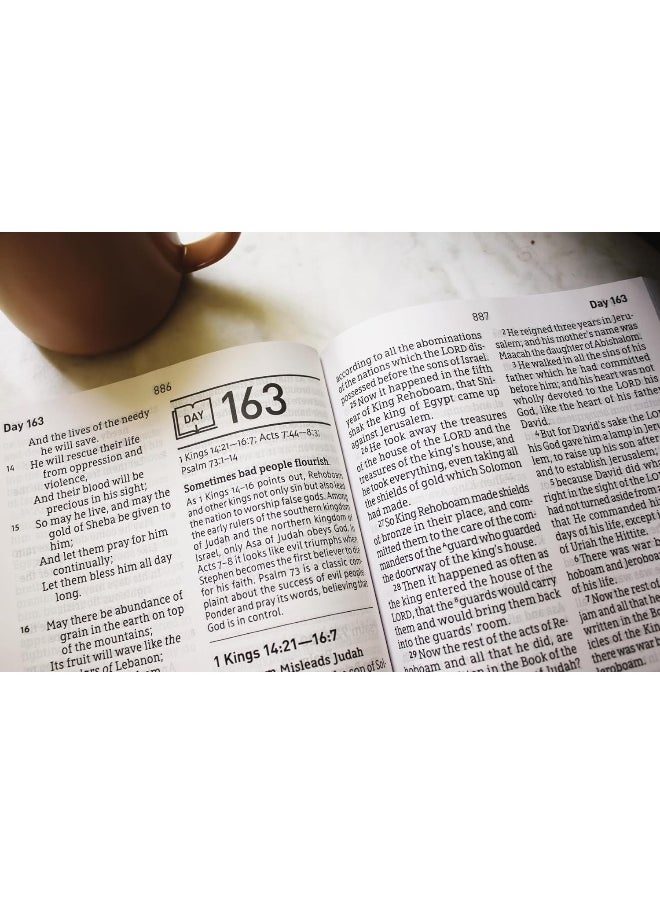null - NASB, Daily Scripture, Super Giant Print, Paperback, White/Gold, 1995 Text, Comfort Print: 365 Days to Read Through the Whole Bible in a Year - Image 1