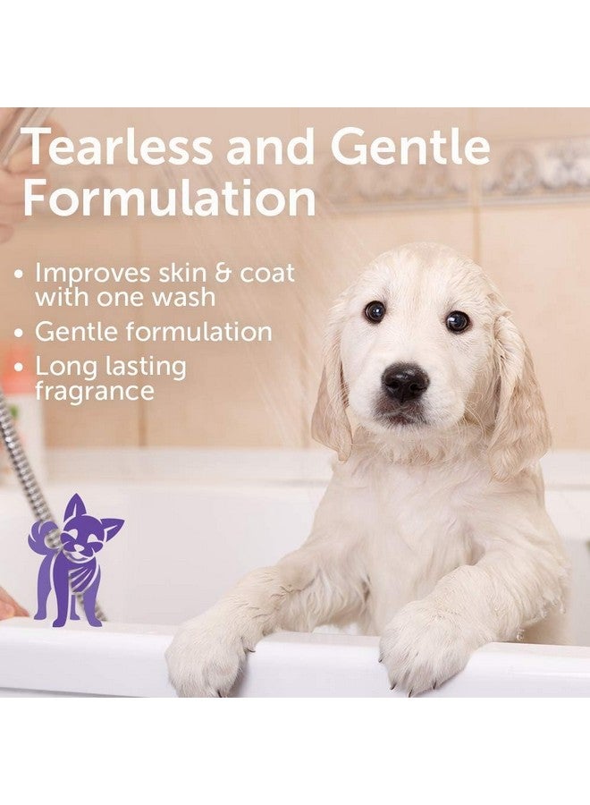 nootie Nootie - Pet Shampoo for Sensitive Skin - Revitalizes Dry Skin & Coat - Natural Ingredients - Gentle Dog Shampoo - Cleans & Conditions - Image 3