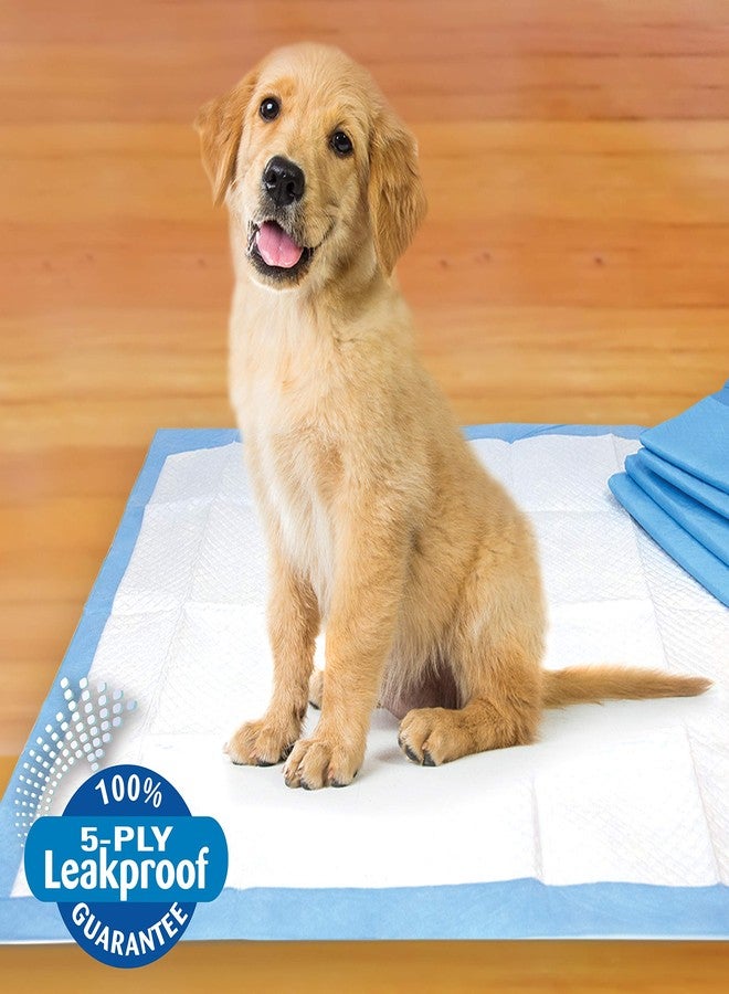 Four Paws Pet Select Pee Pee Pads for Dogs and Puppies 14 Count Standard 22" x 23" - Image 4
