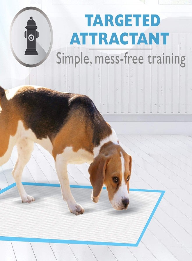 Four Paws Pet Select Pee Pee Pads for Dogs and Puppies 14 Count Standard 22" x 23" - Image 5