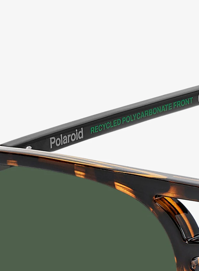 Polaroid  Rectangular Sunglasses Frames for Men | Best Price UAE