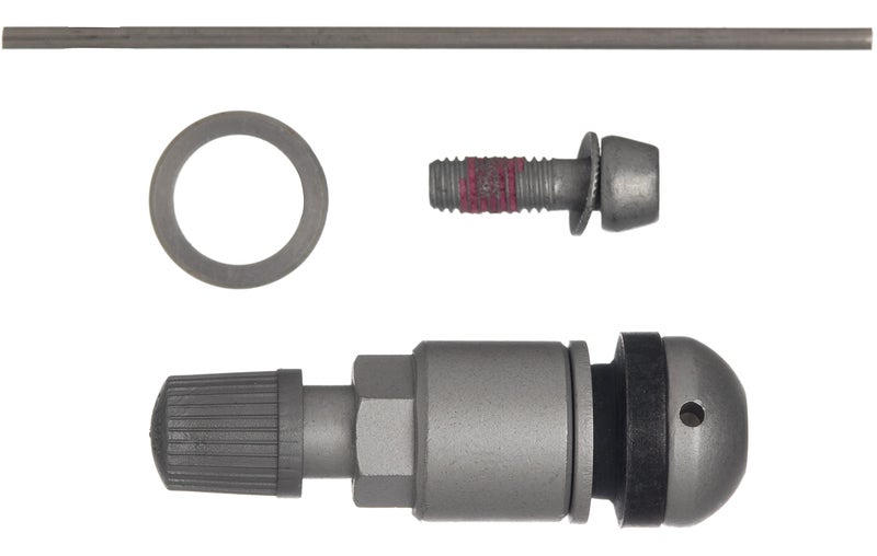 Schrader 20037 TPMS Service Pack Silver Insert fits Audi BMW Hyundai Kia Mercedes Porsche VW  single unit - Image 1