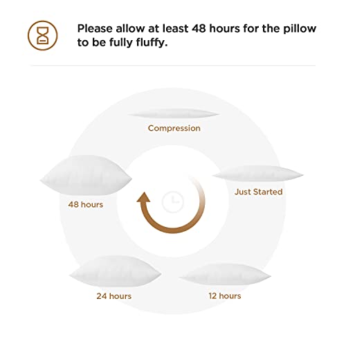 Acanva Polyester Decorative Rectangle Throw Pillow Inserts, Hypoallergenic Form Stuffer Cushion Sham Filler, 16x26, White, 1 Count (Pack of 1) - Image 4