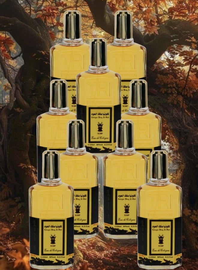 في آي بي 9 قطع كلونيا ملك العود 250مل - Image 1