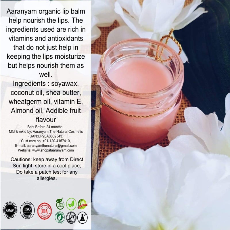 Aaranyam Aranyam Oraganic Vegan lip balm for extreme hydration moisturizerPack of 2 - Image 2