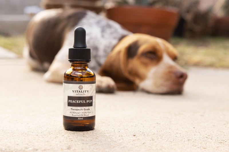 Vitality Extracts Peaceful Pup Essential Oil Blend - 30ml, Natural Calm, Ease Worries & Stress, Aromatherapy, Lavender, Lemon, in Almond Oil Base - Image 4
