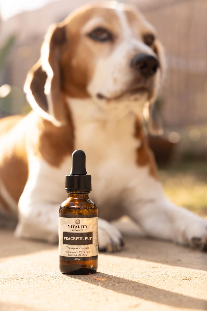 Vitality Extracts Peaceful Pup Essential Oil Blend - 30ml, Natural Calm, Ease Worries & Stress, Aromatherapy, Lavender, Lemon, in Almond Oil Base - Image 3