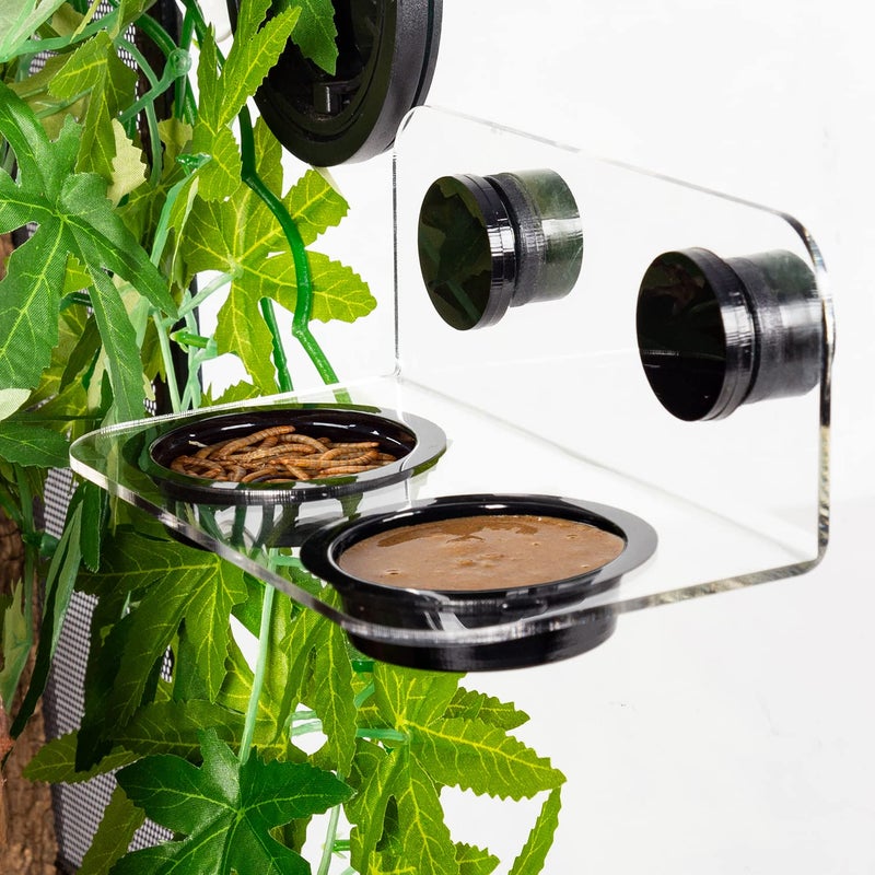 WACOOL Magnetic Reptile Ledge, Acrylic Gecko Feeding Ledge with 6PCS Cups, Reptile Food Water Feeder Dish for Geckos Iguana Chameleon Pets (Cups) - Image 5