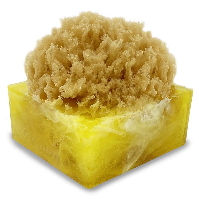 Primal Elements Tahitian Vanilla SpongeBar Soap Pack of 2