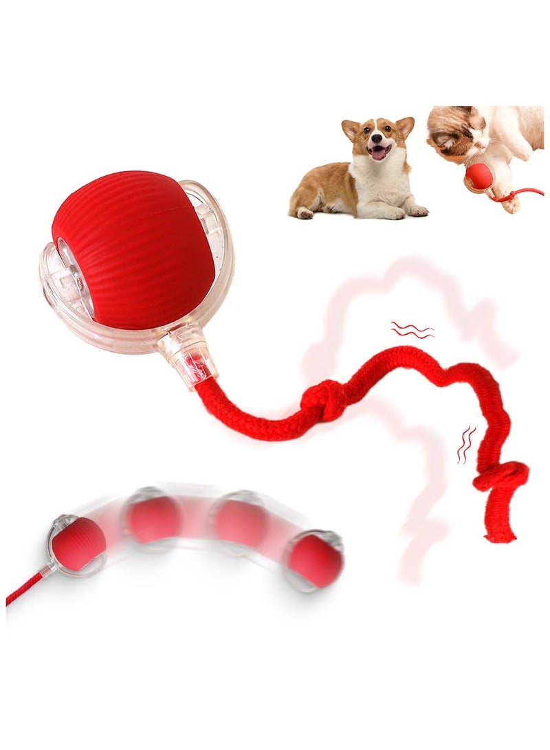 Interactive Rolling Dog Ball, 2024 Upgraded Rolling Ball Dog Toy Interactive Cat Toys Automatic Cat Toy Self Moving Dog Toys, 360° Automatic Rolling Ball Toy Electric Dog Balls for Dog/Cat (Red) - Image 1
